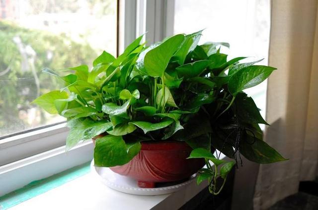 为什么要对气体报警器标定？？